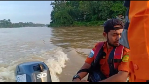 Anak Umur 5 Tahun di Inhu Belum Ditemukan Usai Diterkam Buaya