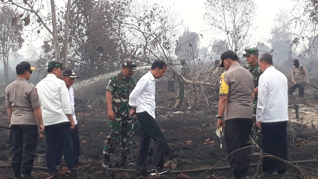 Asap Masih Tebal Ketika Jokowi Tinjau Karhutla di Pelalawan