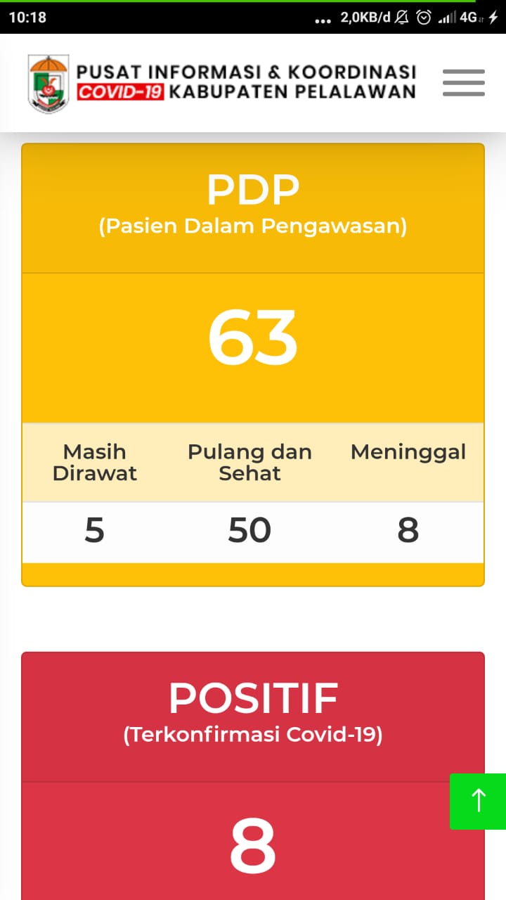 Update Covid-19 Kabupaten Pelalawan Tanggal 17 Mei 2020