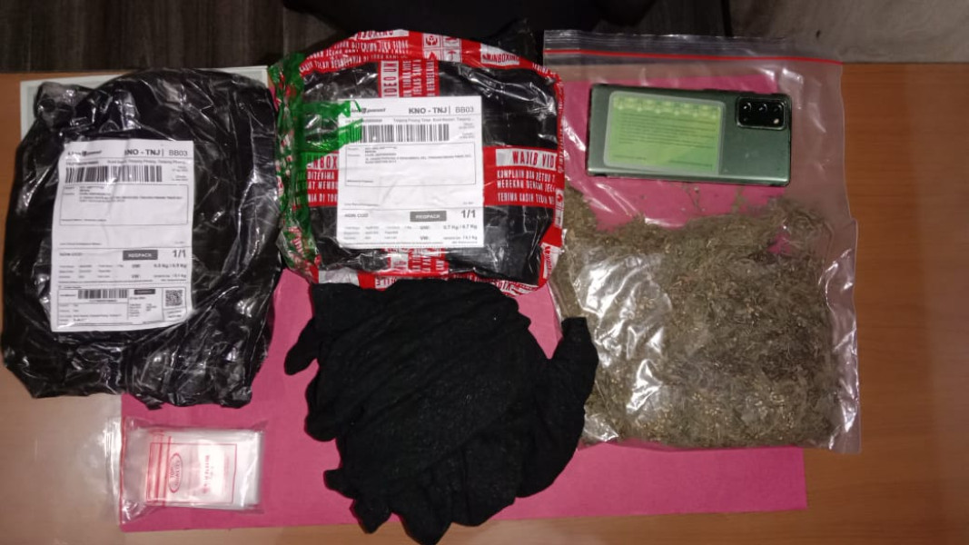 Sat Resnarkoba Polresta Tanjungpinang Amankan Pelaku Kasus Narkotika Ganja Kering
