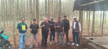 Agroforestri Bengkalis Dibidik Jadi Mesin Ekonomi, KADIN Riau Gandeng Pengusaha Porang