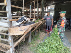 Sertu Sutarno Sosialisasikan Pencegahan PMK di Kelurahan Jaya Mukti