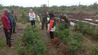 Babinsa Koramil 02/BK Kecamatan Medang Kampai Gelar Penyuluhan Pertanian