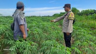 Dari Pekarangan ke Ketahanan Pangan Nasional, Polisi Hadir Dampingi Masyarakat Dumai Barat