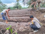 Polsek Sungai Sembilan Perkuat Ketahanan Pangan Lewat Pendampingan Lahan Pertanian Warga