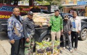 Pupuk FABA dalam Gerakan Tanam 100 Ribu Batang Cabai Dikenalkan PLN Nusantara Power UP Tenayan dalam Rangka Semangat HPN
