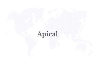 Apical and Partners Target 30,000 Trees in East Kutai in the Second Year of Sustainable Living Village Programme 