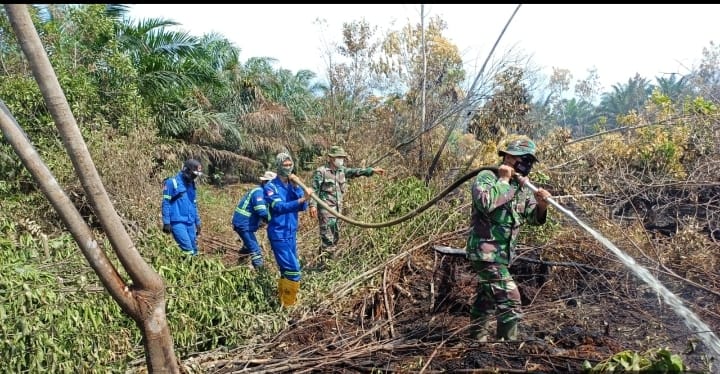 Meskipun Hujan Dandim 0320/Dumai Tetap Meminta Pasukannya Agar Patroli Tetap Dilakukan Untuk Cegah Reaktivasi Api