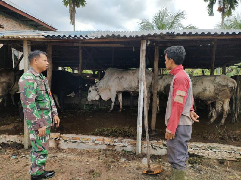 Sertu Sutarno Sosialisasikan Pentingnya Kebersihan Kandang di RT 016 Dumai