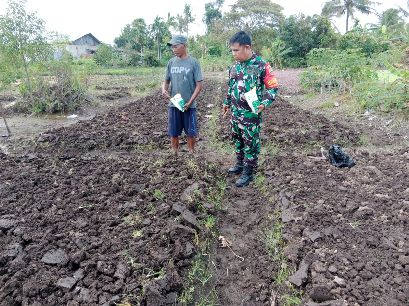 Sertu Mahyudin Dampingi Petani Kangkung di Wilayah Binaannya