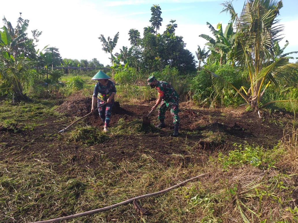 Sertu Sugianto Dampingi Petani Bayam
