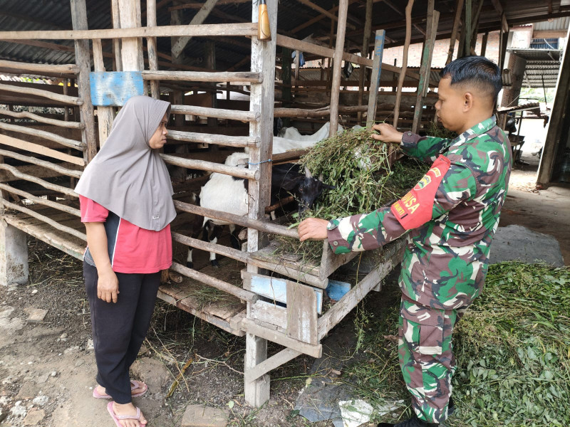 Sertu Sutarno Sampaikan Mengenai Ciri-ciri PMK Kepada Peternak Binaan