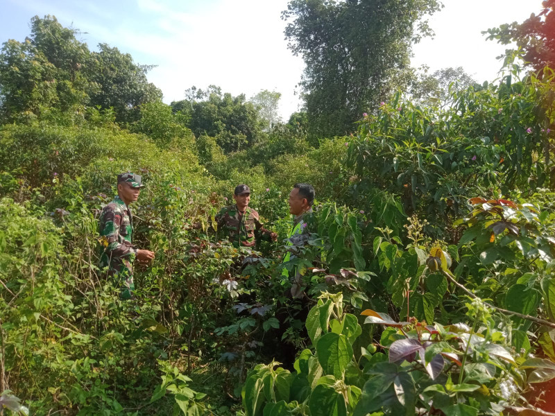 Personil Koramil 06 Merbau Monitoring Wilayah Cegah Karhutla