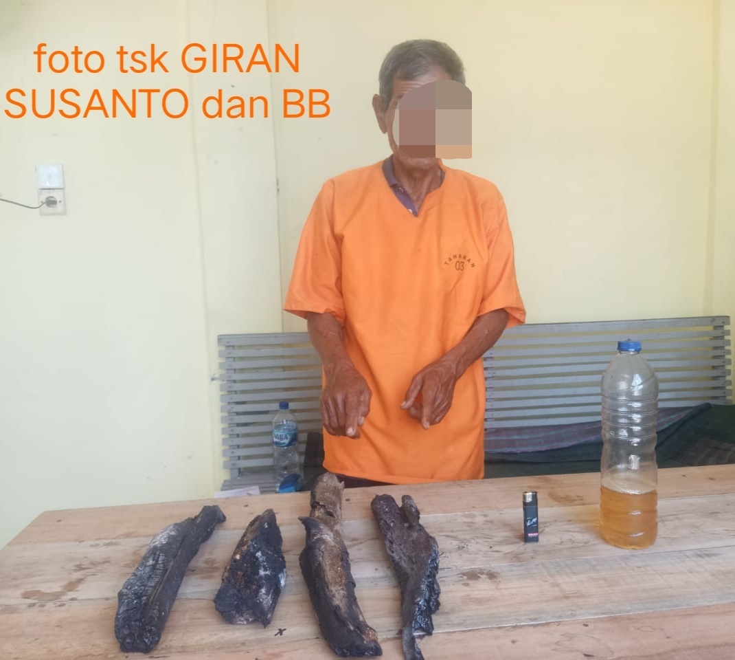 Diduga Bakar Lahan, Petani Berusia 68 Tahun di Rohil Ditangkap Polisi