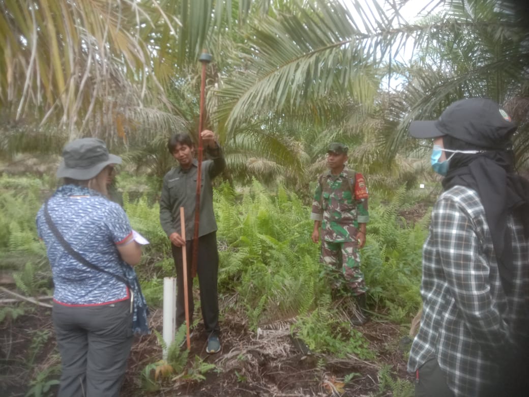 Sertu Ramli Dampingi Rombongan FAO PBB Tinjau Gambut dan Bakau