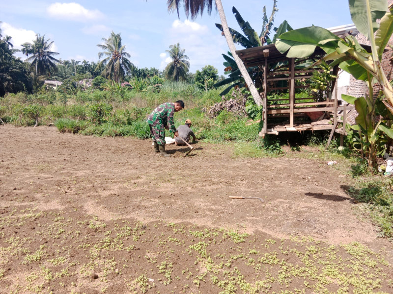 Babinsa Dumai Barat Gencarkan Patroli Karhutla dan Pendampingan Pertanian