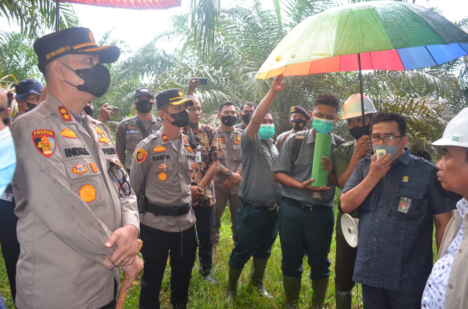Masuk HTI, PN Bengkalis Eksekusi 30-an Hektare Kebun Sawit