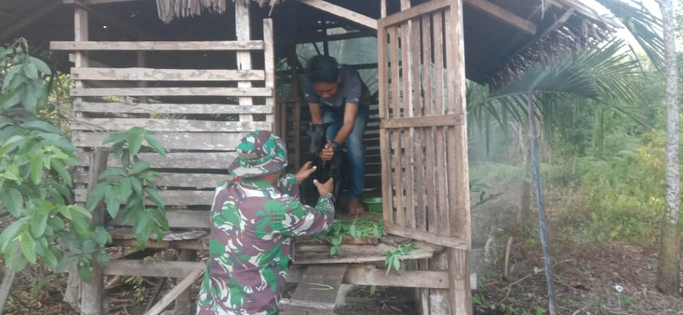 Pelaksanaan Sosialisasi Cegah PMK Dilaksanakan Oleh Serda Edi Saputra