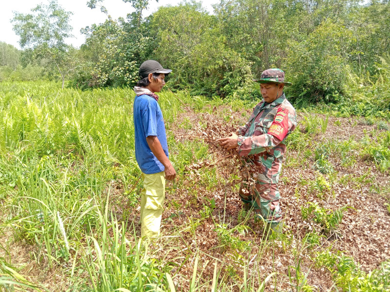 Koramil-01/Dumai Intensifkan Patroli Karhutla, Babinsa Himbau Warga Terapkan Prinsip Pencegahan