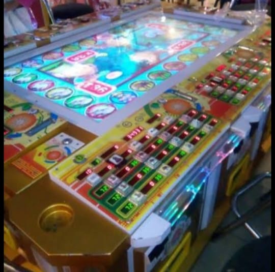 Diduga, Ada Arena Gelper di Sekitaran Area Terminal  Barang Dishub Dumai