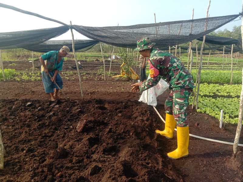 Serda Priyono Mendampingi Petani Bayam dan Kangkung