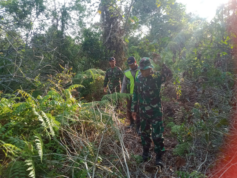 Giat Personil Babinsa Koramil 06 Merbau Cegah Karhutla