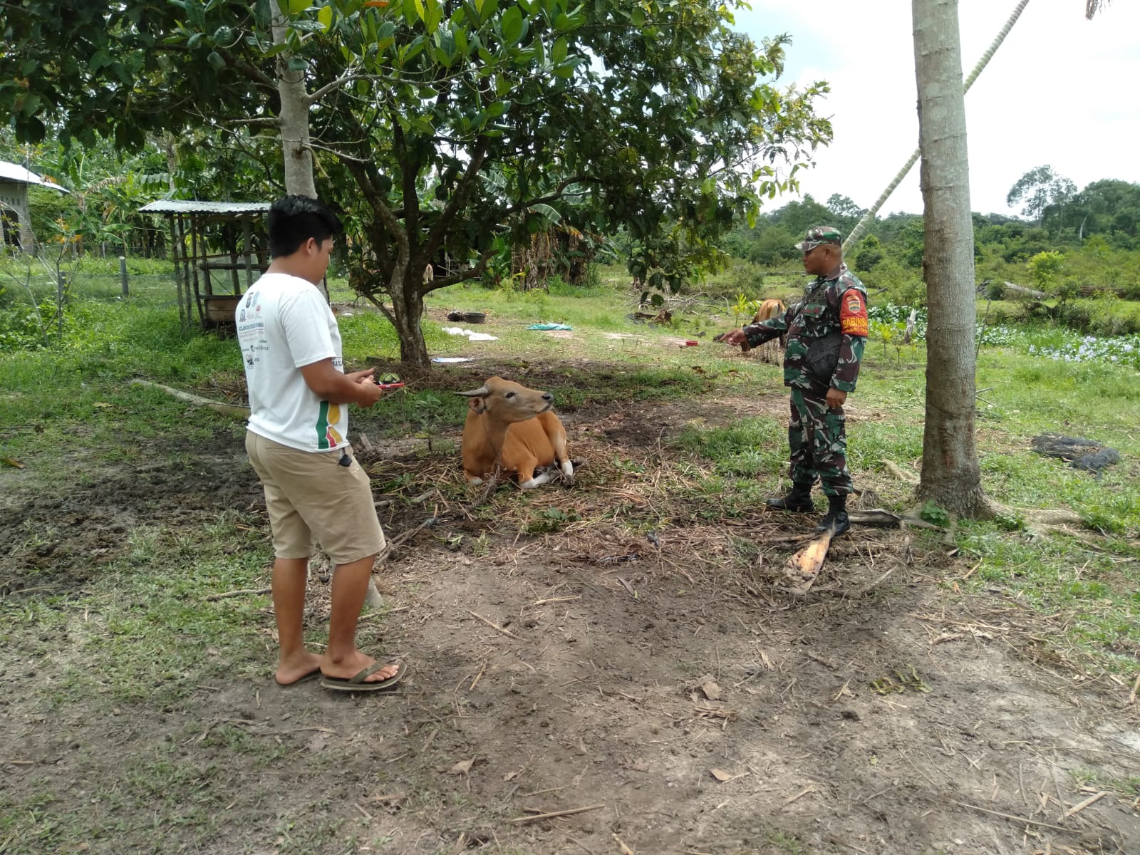 Serka Purba Berikan Sosialisasi Cegah PMK