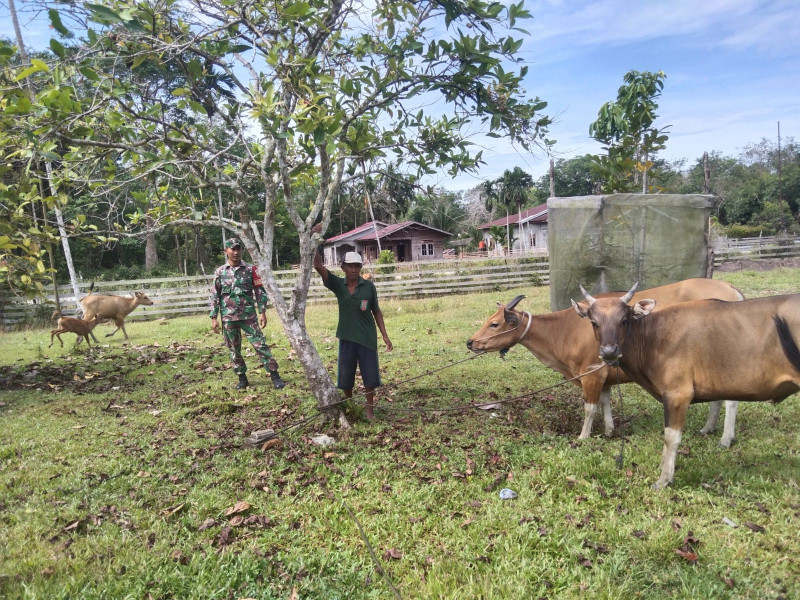 Fokus Cegah PMK, Kopda Ricko Temui Peternak