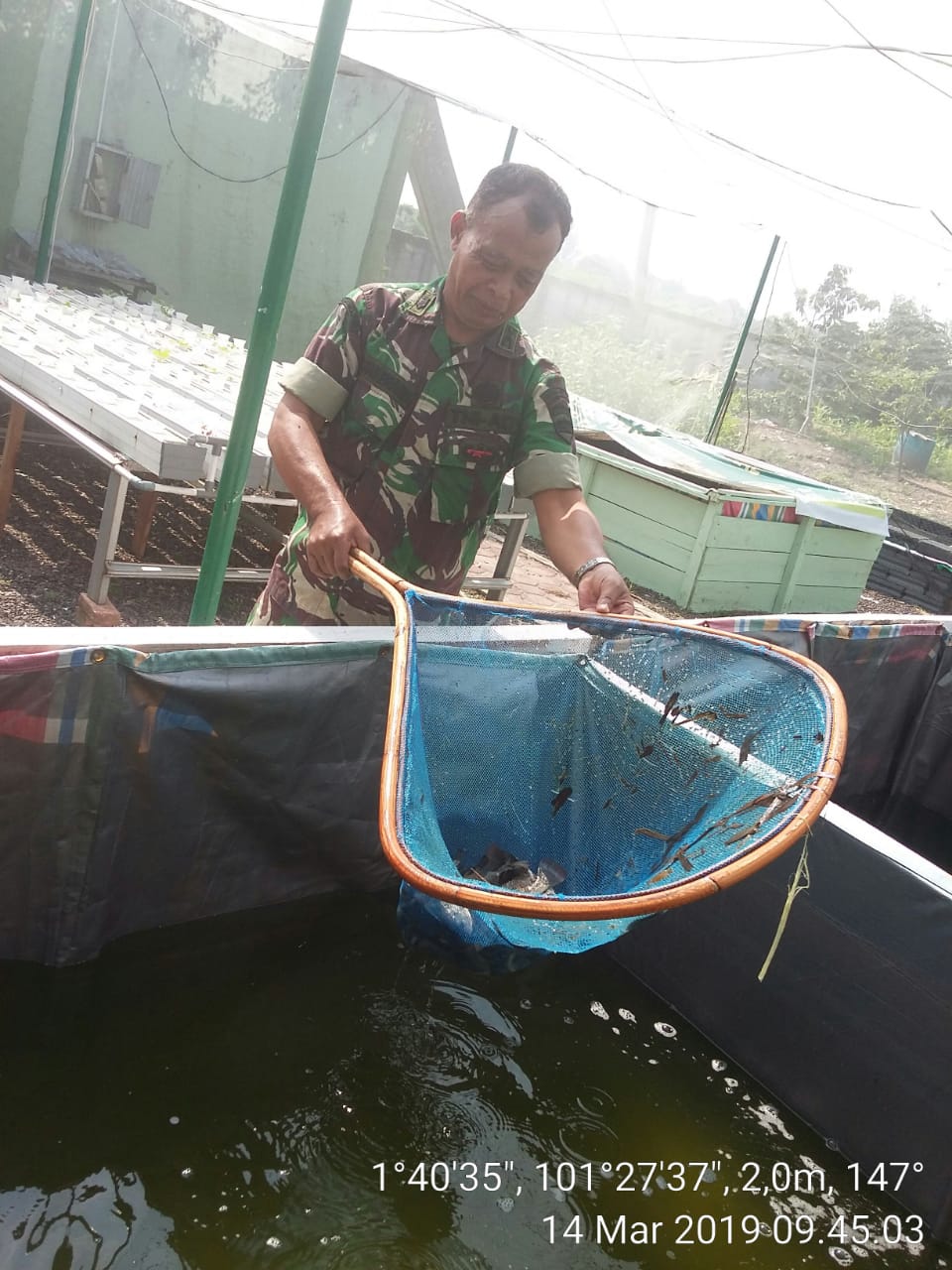 Anggota Kodim 0320/Dumai Budidaya Ikan Air Tawar