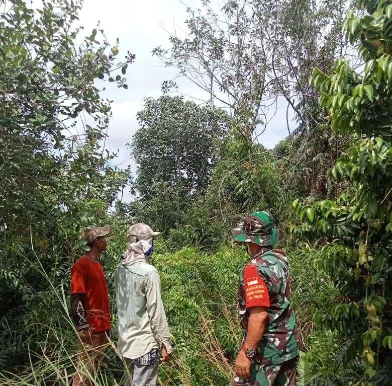 Sertu Heriyanto Laksanakan Patroli Cegah Karhutla di Kawasan Yang Rawan