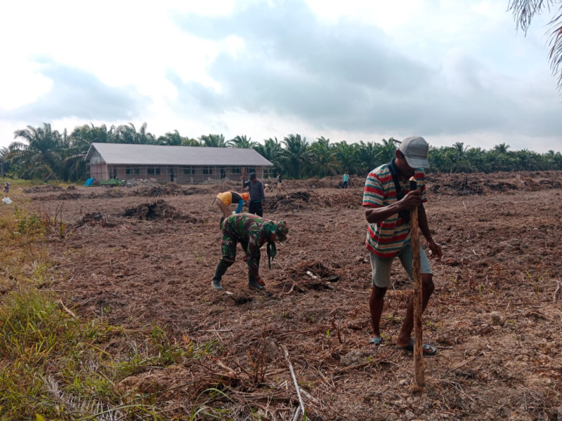 Babinsa Koramil 03/SS Dampingi Petani Tanam Padi Gogo untuk Ketahanan Pangan