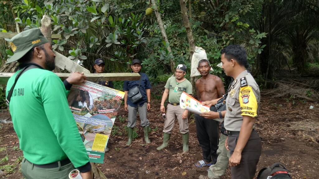 Tim BKSDA dan WWF Riau-Kepri Survey Ke Lokasi Kemunculan Harimau