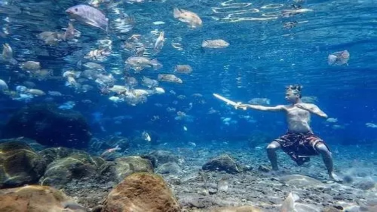 Kerennya Berfoto dalam Air Bersama Ikan, Ada di Indonesia Kok!