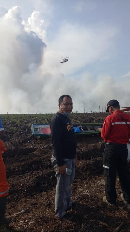 Lahan Seluas 5 Hektare PT AA di Bunut Terbakar