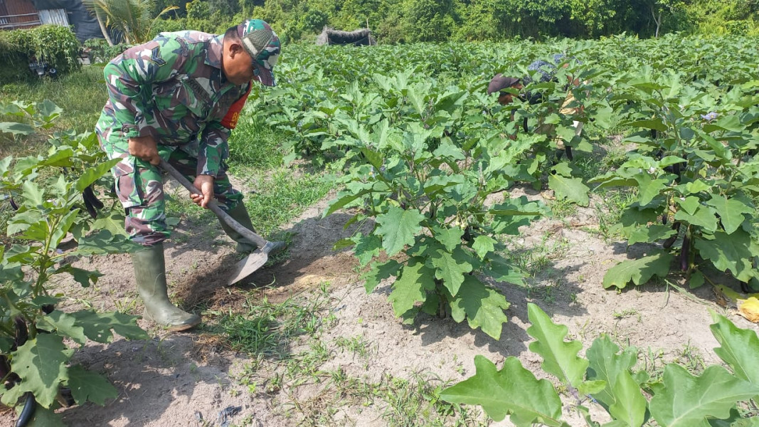 Sertu Roni Sandra Laksanakan Patroli Karhutla dan Bimbing Petani di Kelurahan Bukit Nenas