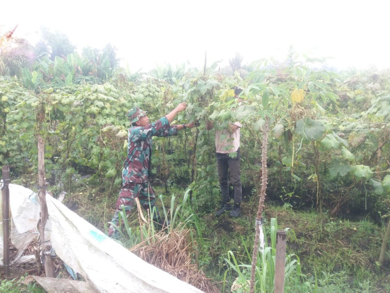 Sertu Nono Temui Petani Gambas, Ini Yang Disampaikan