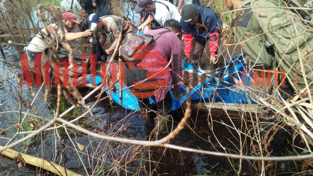 Pria Tewas Diserang Harimau di Desa Tasik Tebing Serai, Kecamatan Talang Muandau