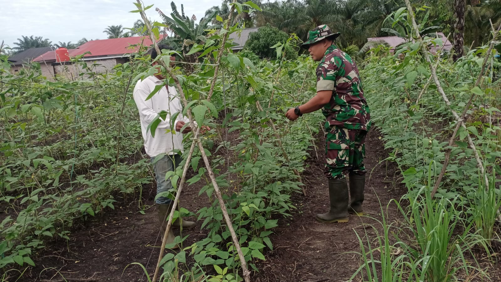 Pelda Joko Bersihkan Lahan dan Berikan Pengarahan Kepada Petani