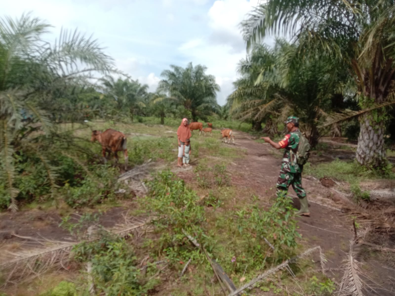 Sertu Ramli Laksanakan Patroli dan Sosialisasi Cegah PMK