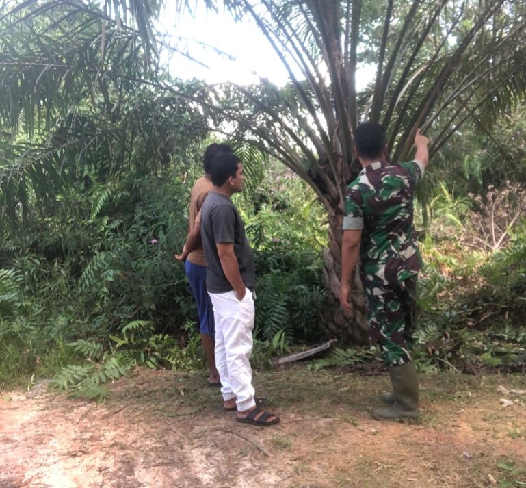 Serma Novrianto Ajak Masyarakat Sama-sama Mengawasi Hutan dan Lahan