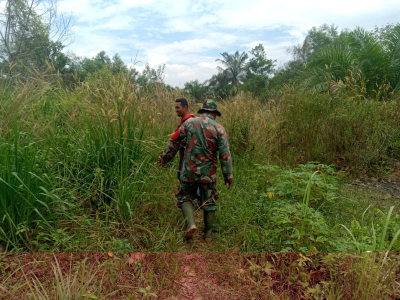 Babinsa Koramil-01/Dumai Gencar Lakukan Patroli Cegah Karhutla