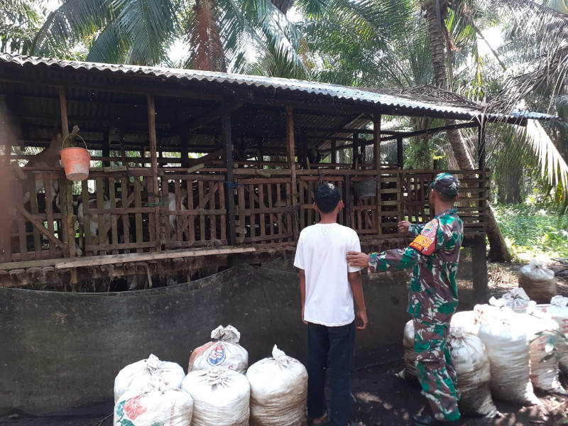 Serda Andri Widodo Dampingi Peternak Kambing dan Edukasi Pencegahan PMK