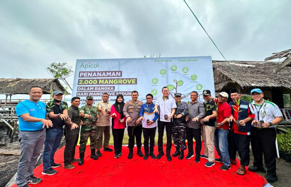 Dukung Pemerintah, PT Apical Tanam 2000 Batang Mangrove