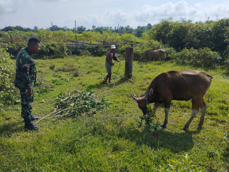 Pratu Rahmad Melaksanakan Sosialisasi Pencegahan PMK