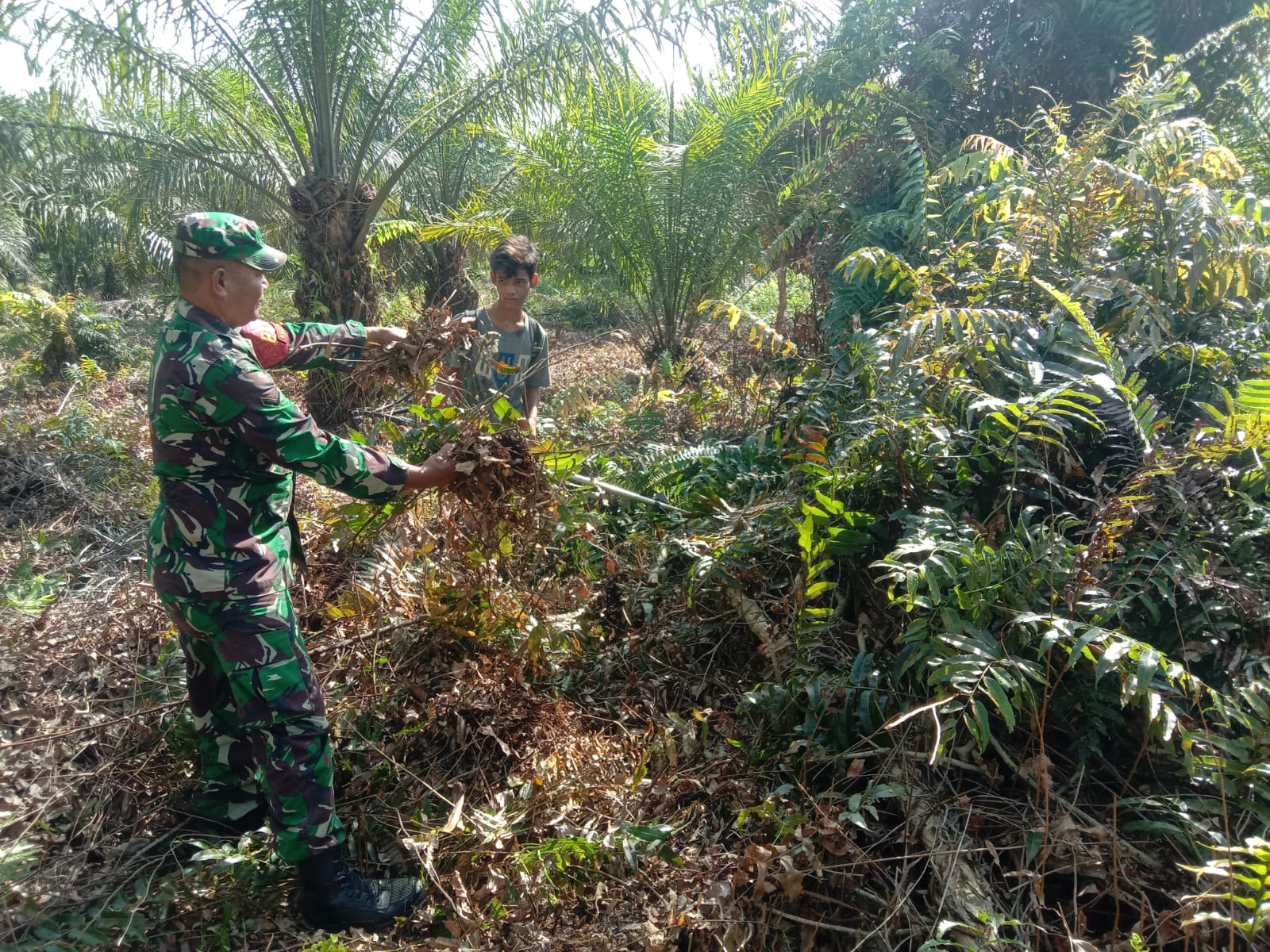 Serda Augustinus Hasugian Berikan Sosialisasi Cegah Karhutla