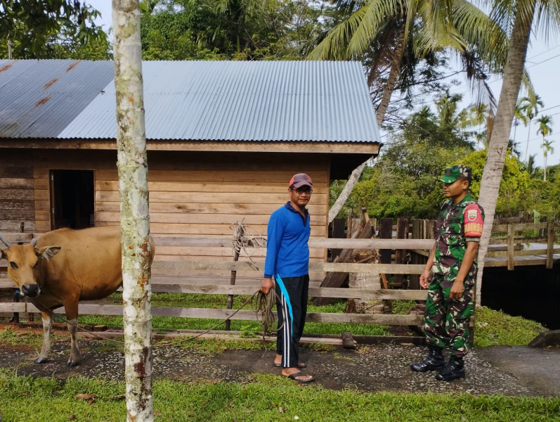 Serda K Sinaga Cek Kesehatan Hewan Ternak di Wilayahnya