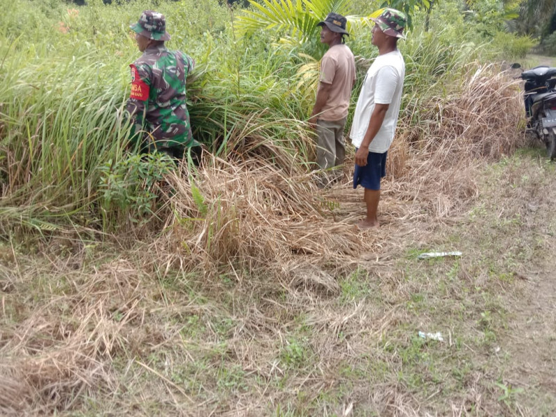Sertu Jainal Arifin Melaksanakan Giat Cegah Karhutla