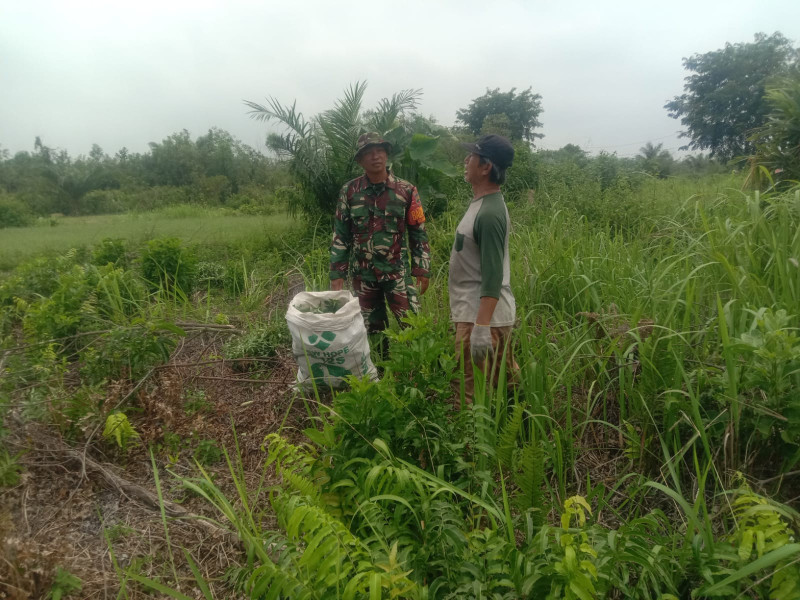 Babinsa Koramil-01/Dumai Gelar Patroli Karhutla di Kelurahan Bagan Keladi