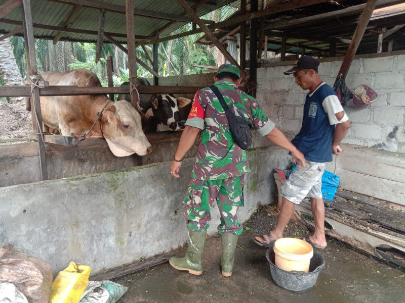Sosialisasi Pencegahan PMK Oleh Sertu Jainal Arifin