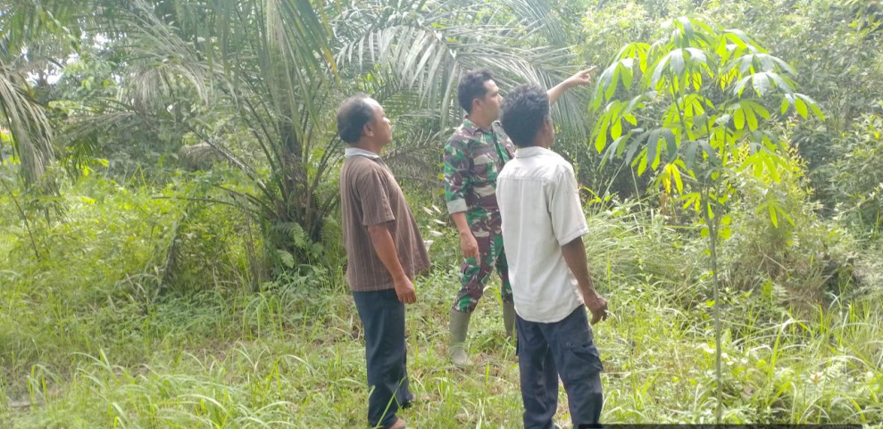 Lestarikan Lingkungan Untuk Masa Depan, Serma Nofrianto Laksanakan Patroli